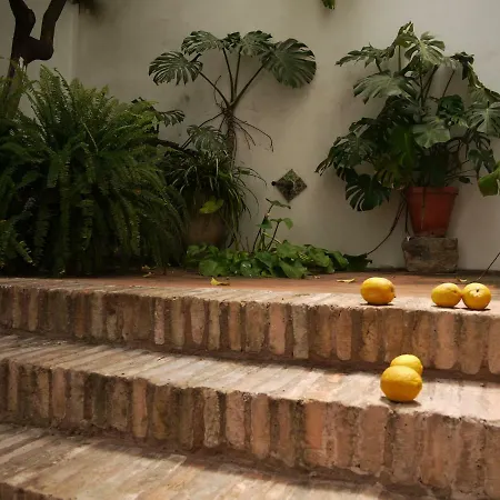 شقة Entre2mezquitas 6 *