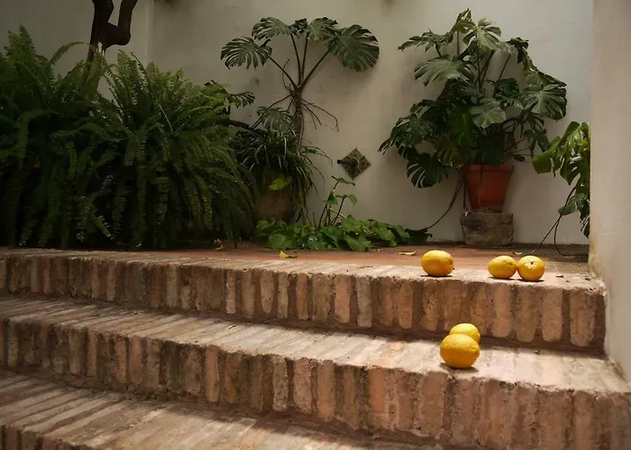 Apartamento Entre2mezquitas 6 *